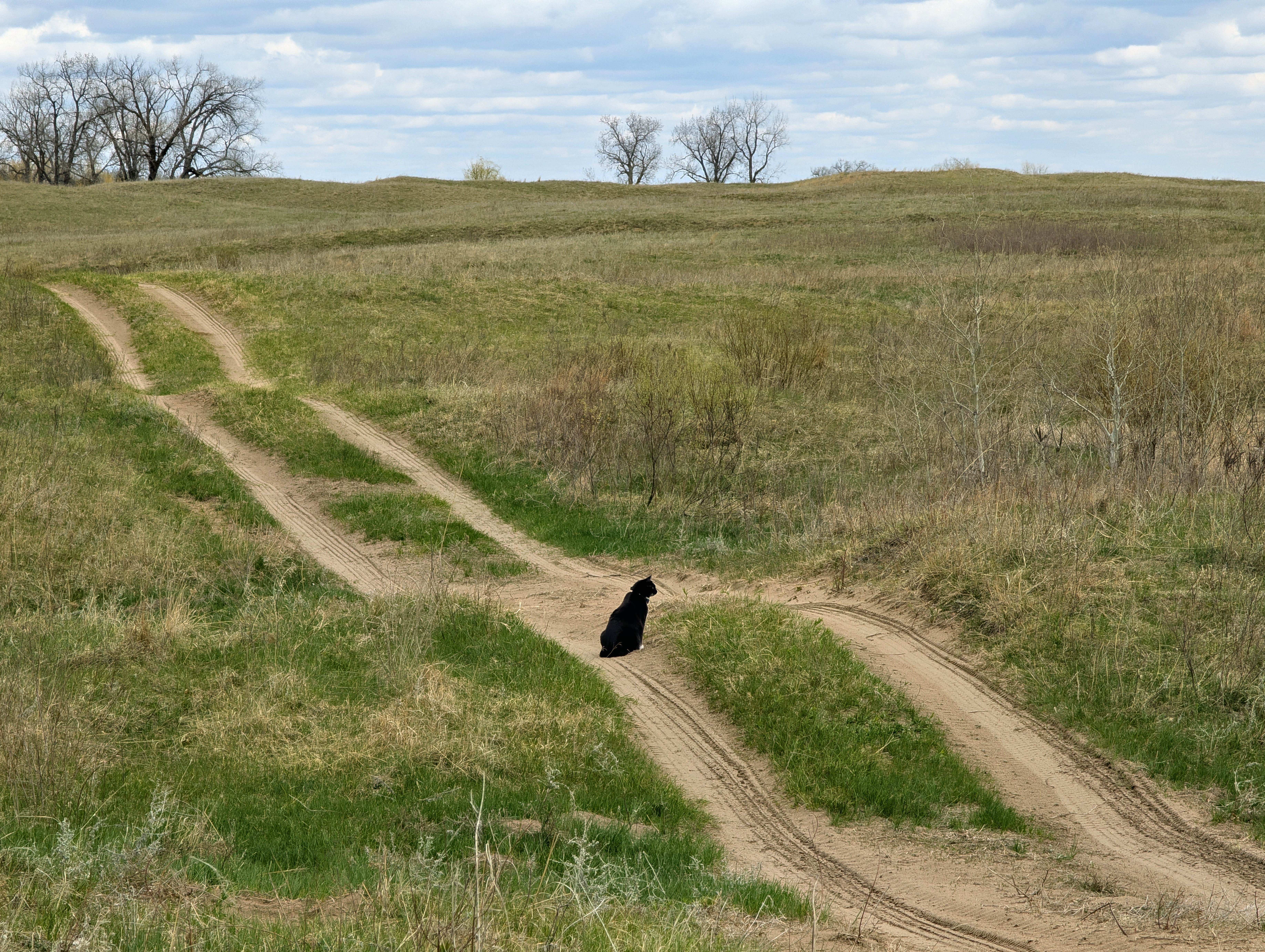 Brett B.'s photo of camping with pets at Sheyenne National Grassland near Glyndon, MN