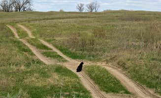 Brett B.'s photo of camping with pets at Sheyenne National Grassland near Moorhead, MN