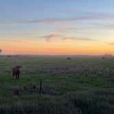 Review photo of Sheyenne National Grassland by Juliana J., October 19, 2026