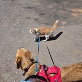 Review photo of Shingle Creek Rest Area by LP , April 20, 2025