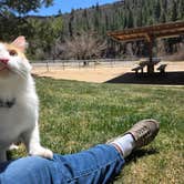 Review photo of Shingle Creek Rest Area by LP , April 20, 2025