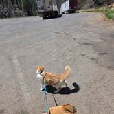 Review photo of Shingle Creek Rest Area by LP , April 20, 2025