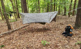 Brian G.'s photo at Shinleaf — Falls Lake State Recreation Area near Wake Forest, NC