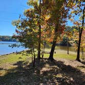 Review photo of Shinleaf — Falls Lake State Recreation Area by Brian G., April 10, 2025