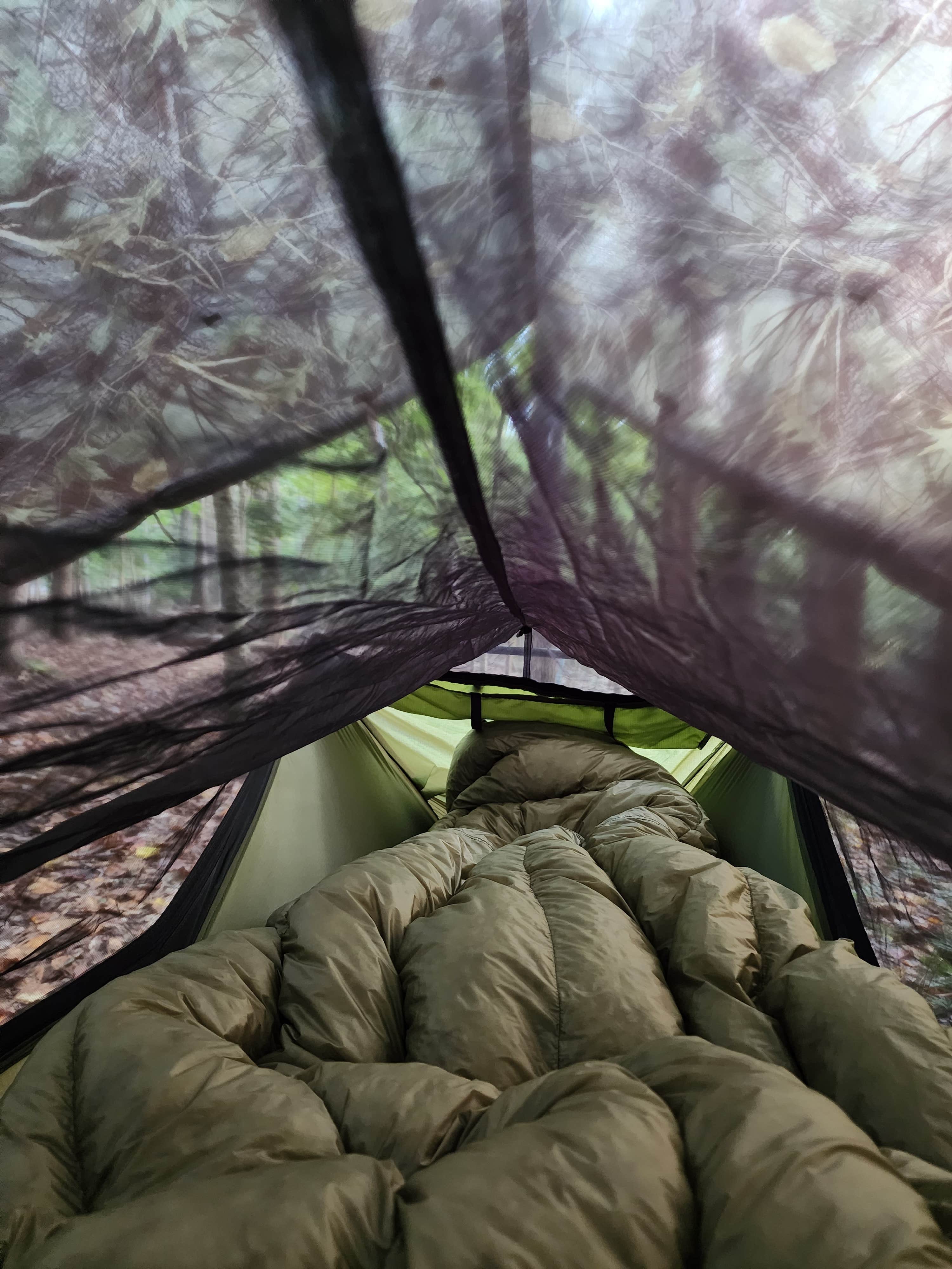 Camper-submitted photo at Shinleaf — Falls Lake State Recreation Area near Morrisville, NC