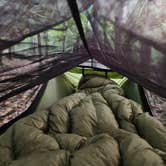Review photo of Shinleaf — Falls Lake State Recreation Area by Brian G., April 10, 2025