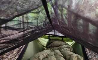 Brian G.'s photo at Shinleaf — Falls Lake State Recreation Area near Wake Forest, NC