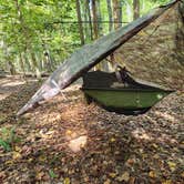 Review photo of Shinleaf — Falls Lake State Recreation Area by Brian G., April 10, 2025