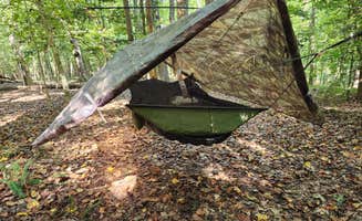 Brian G.'s photo at Shinleaf β Falls Lake State Recreation Area near Creedmoor, NC