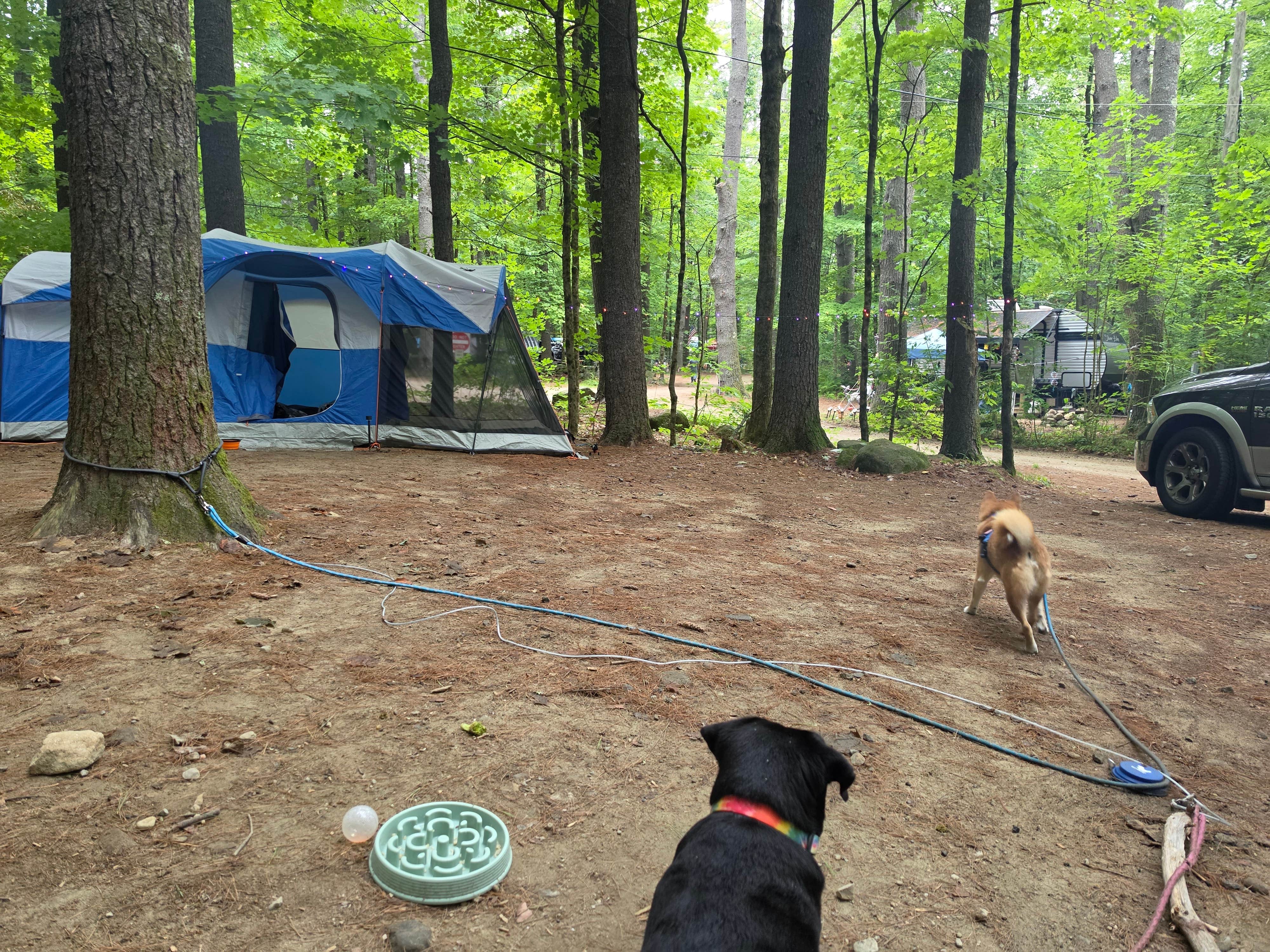 Camper-submitted photo at Shir-Roy Camping Area near Royalston, MA