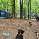 Review photo of Shir-Roy Camping Area by Alison S., August 23, 2026