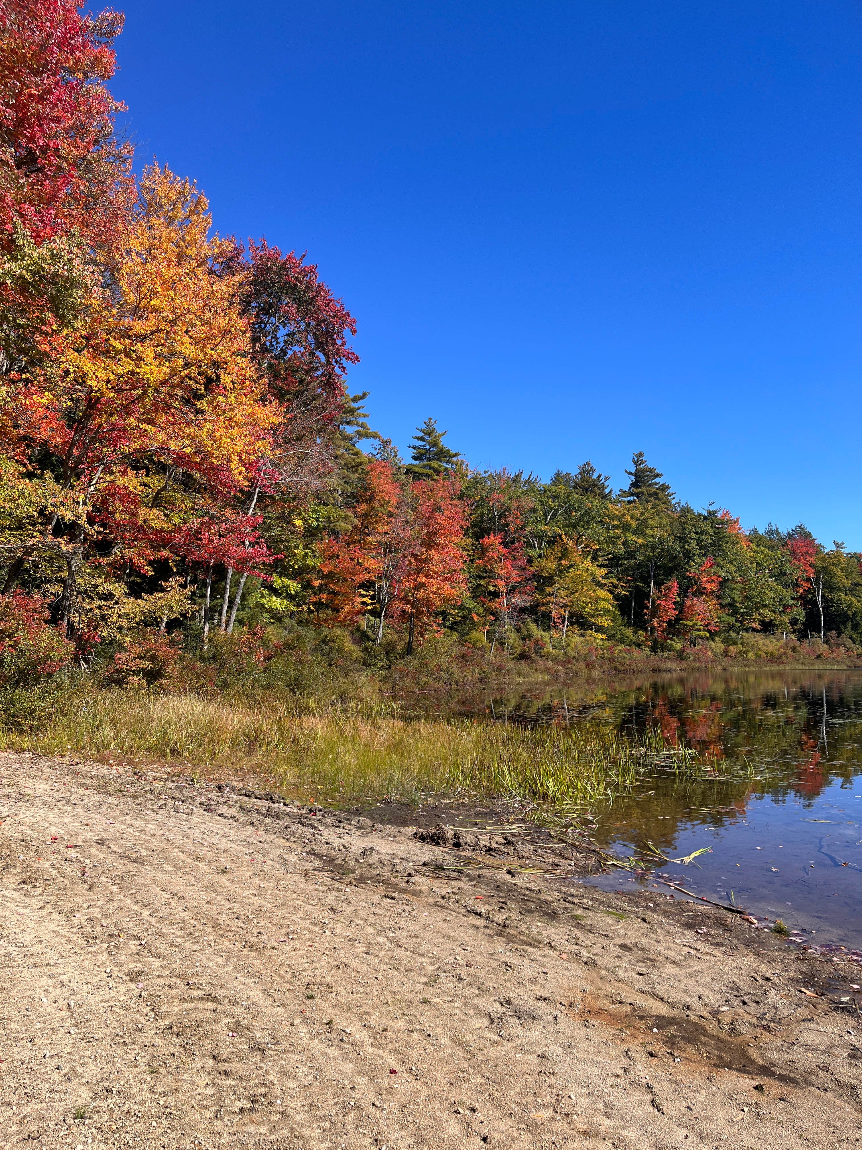 Camper-submitted photo at Shir-Roy Camping Area near Keene, NH