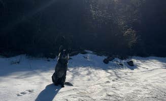 Mark M.'s photo of camping with pets at Shirleys’ River Retreat near New Castle, VA