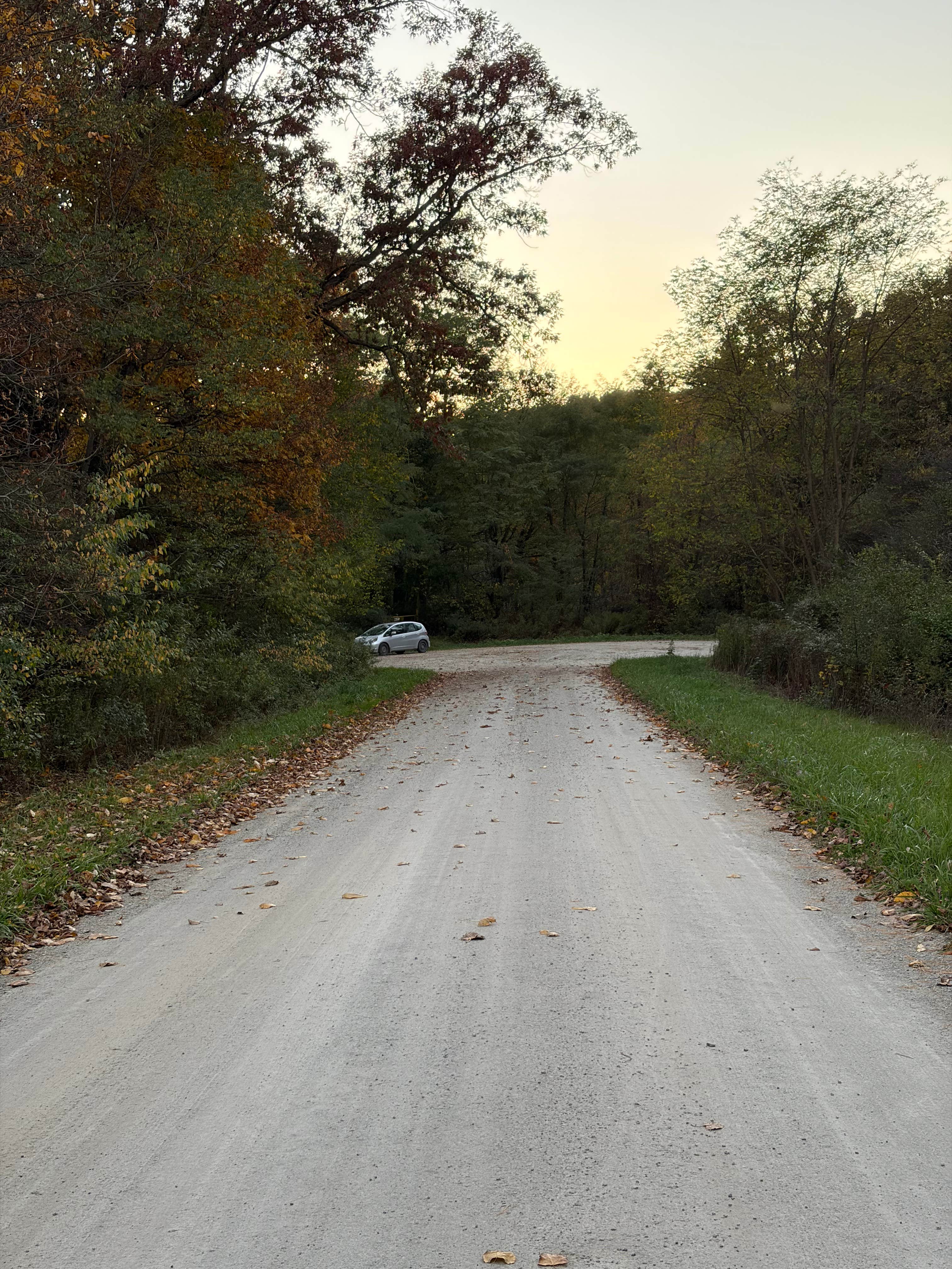 Camper-submitted photo at Shoefelt Trailhead near Goodells, MI