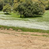 Review photo of Shooting Star Sanctuary and Retreat near Yosemite National Forest by Melinda J., April 24, 2025