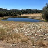 Review photo of Shooting Star Sanctuary and Retreat near Yosemite National Forest by Katie N., July 23, 2026