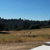 Review photo of Shooting Star Sanctuary and Retreat near Yosemite National Forest by Jayke N., July 23, 2026