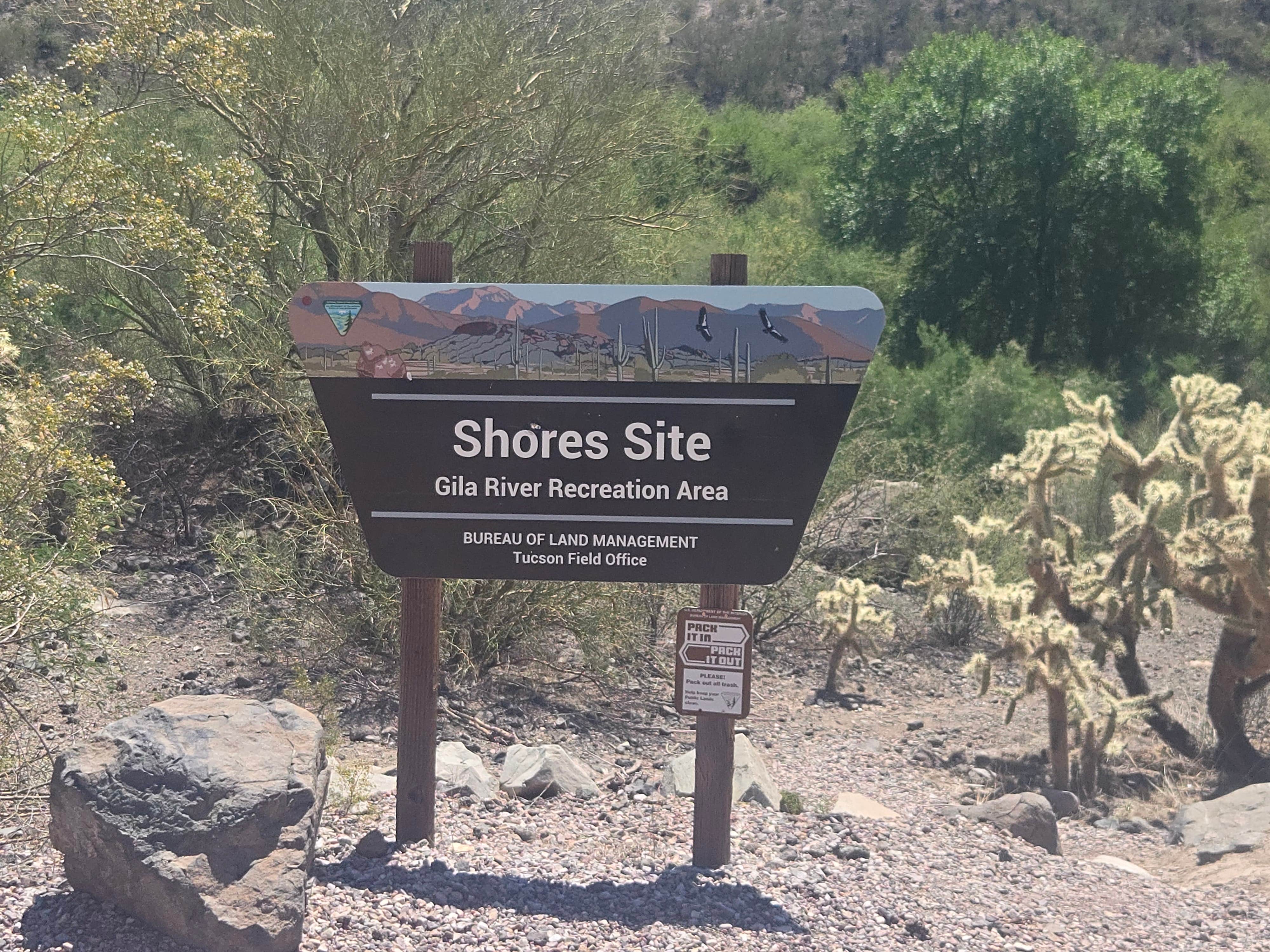 Camper submitted image from Shores Recreation Area - 4