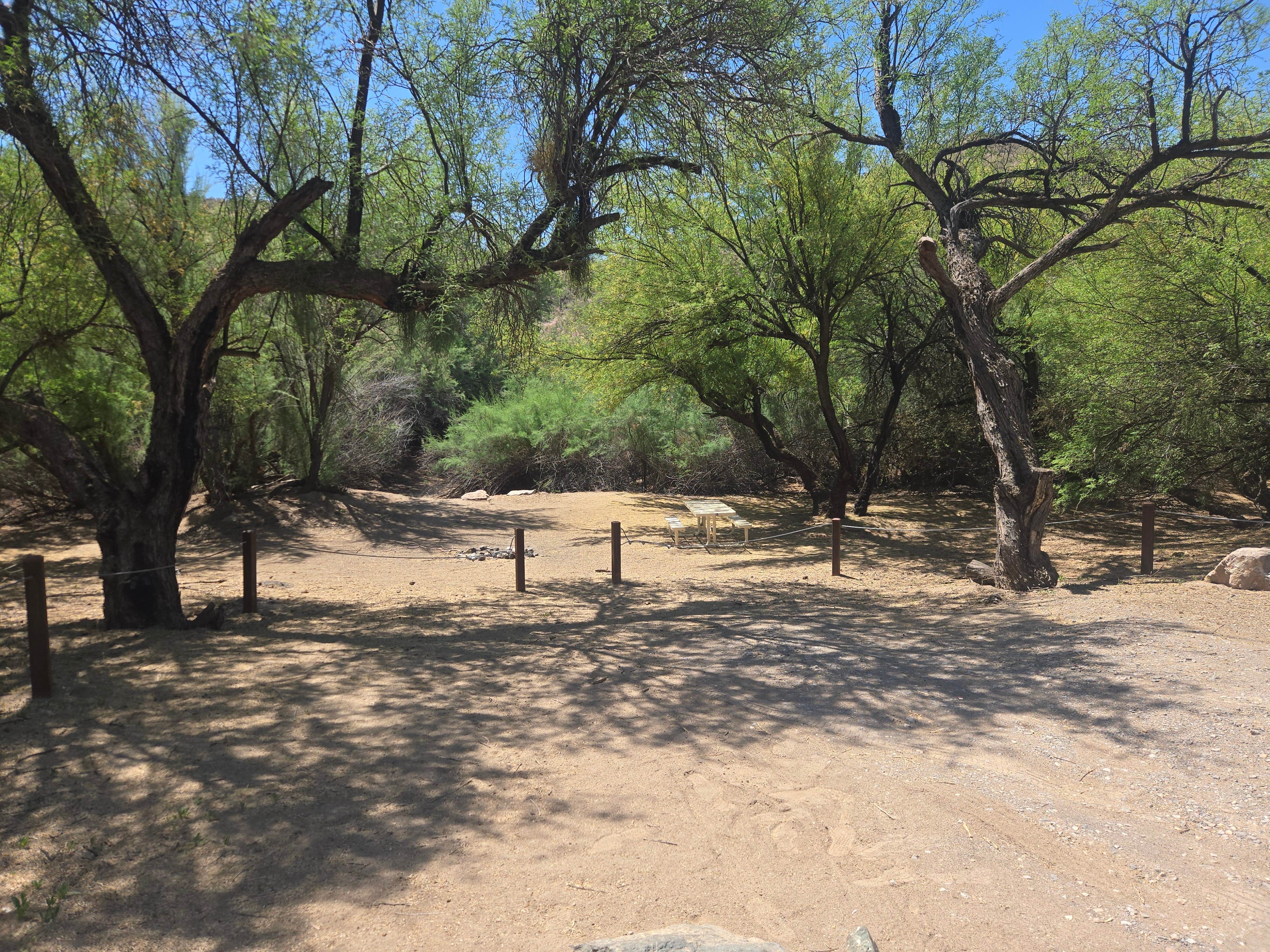 Camper-submitted photo at Shores Recreation Area near Queen Valley, AZ