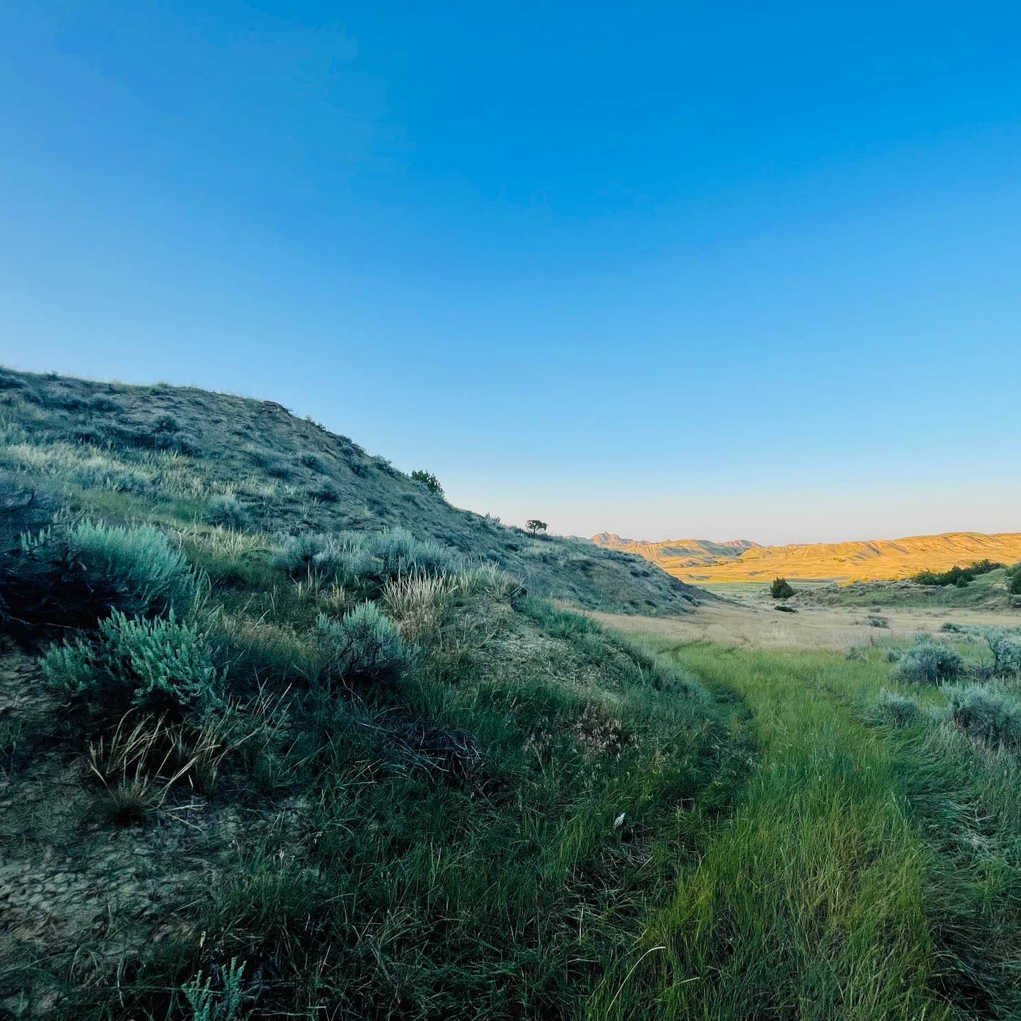 Short Pine OHV Area Camping Glendive, MT