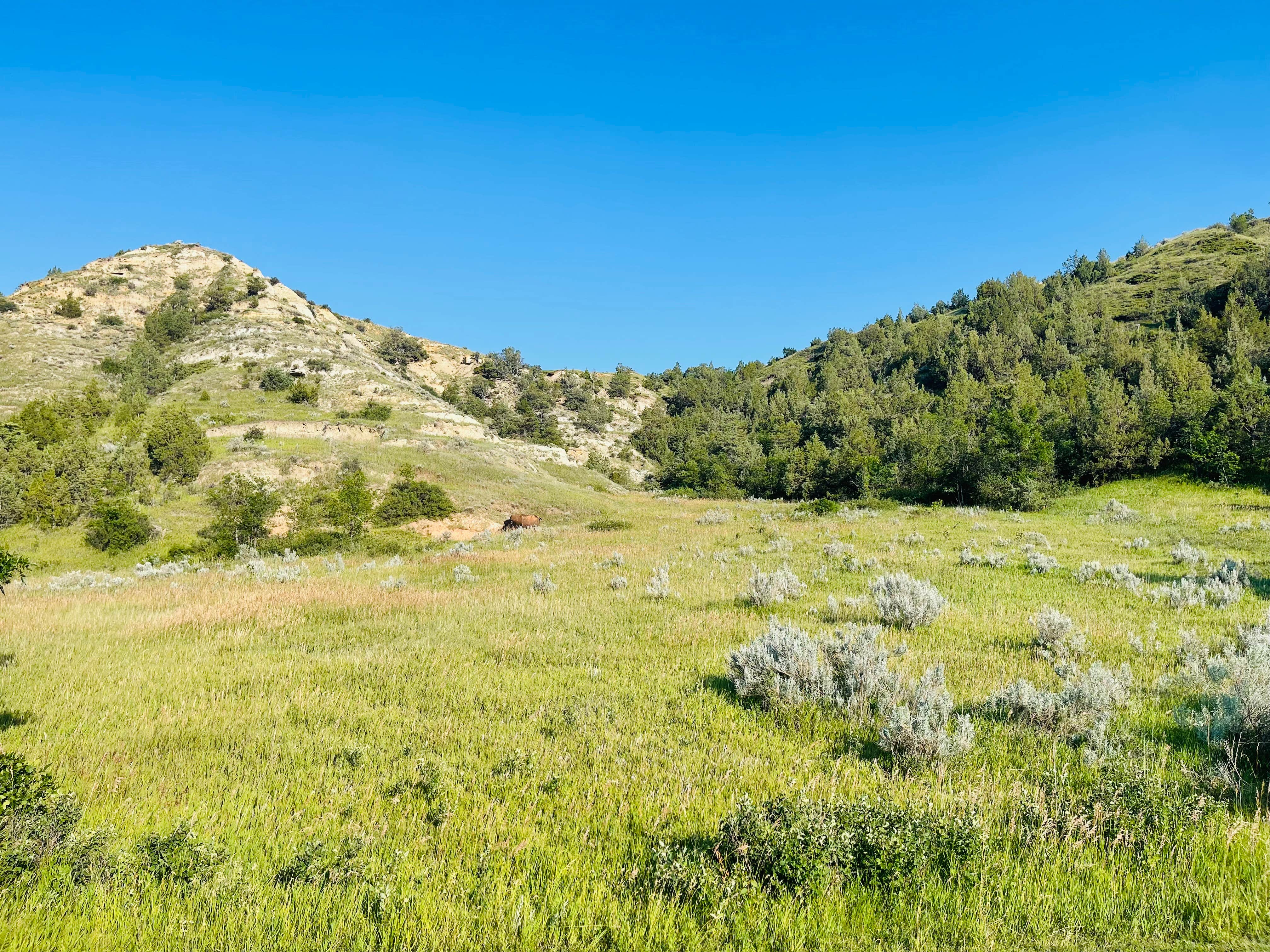 Short Pine OHV Area Camping Glendive, MT