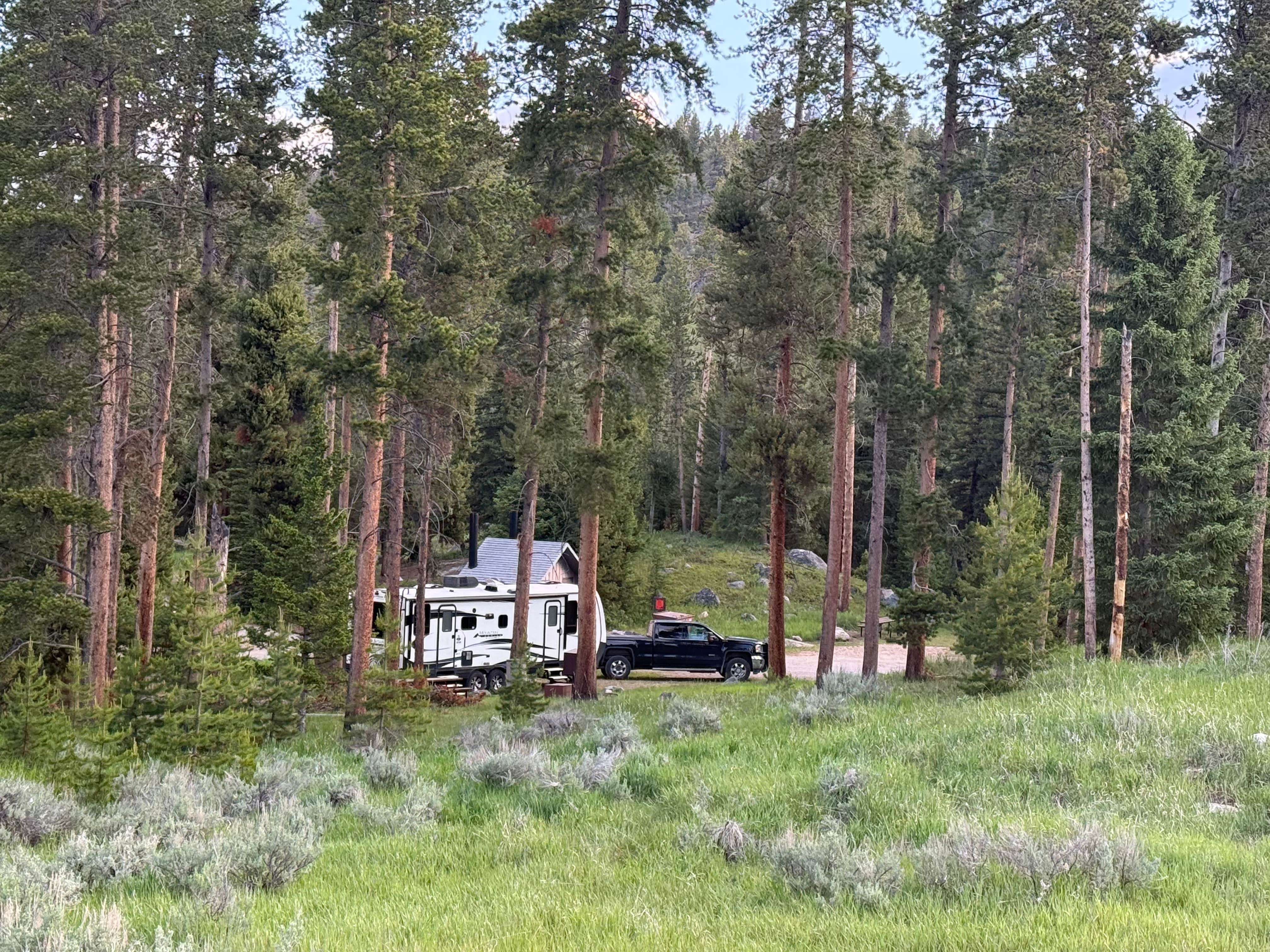 Camper-submitted photo at Shoshone National Forest Crazy Creek Campground near Cooke City, MT