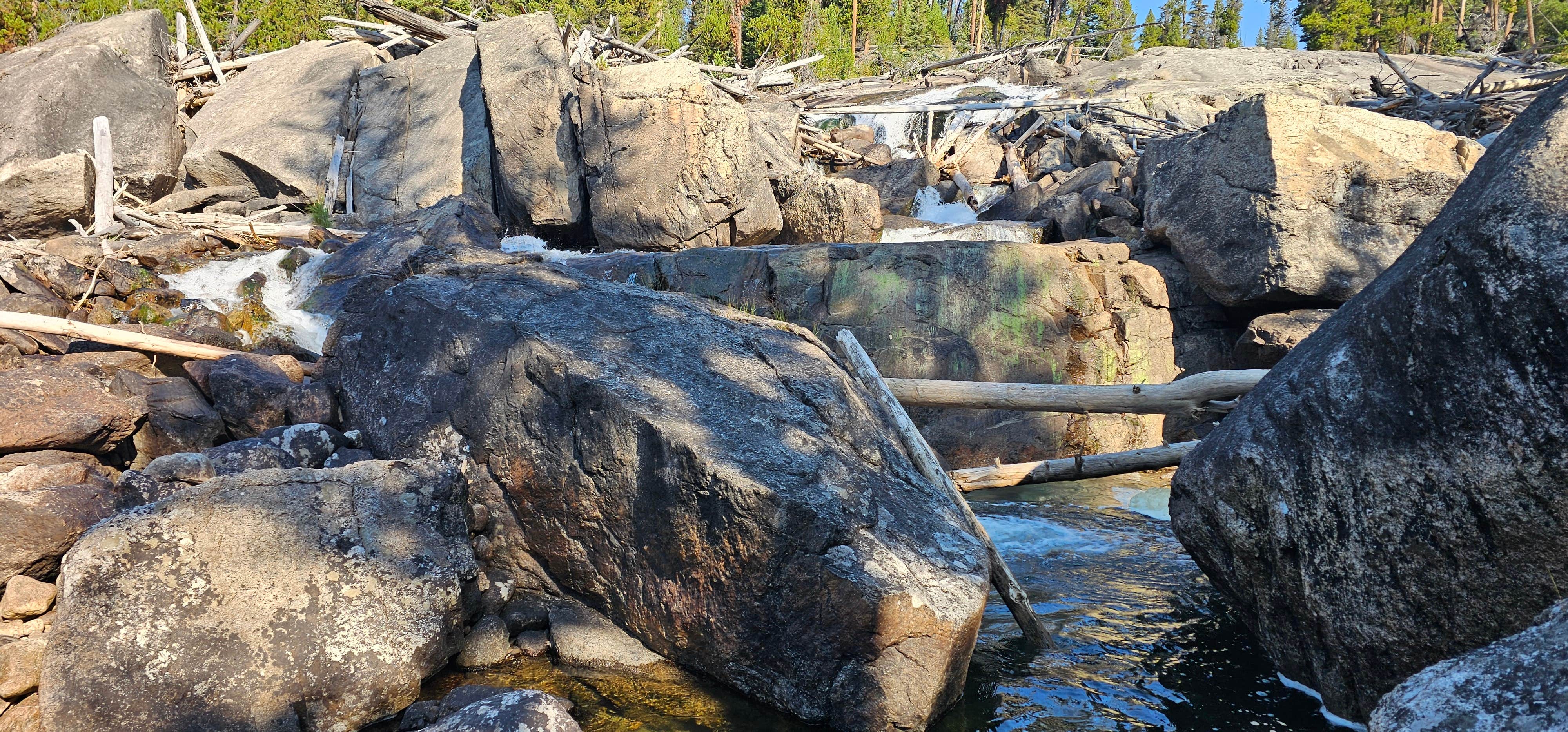 Camper submitted image from Shoshone National Forest Crazy Creek Campground - 1