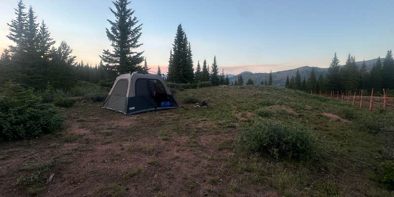 Camper submitted image from Shrine Pass Road Dispersed Camping