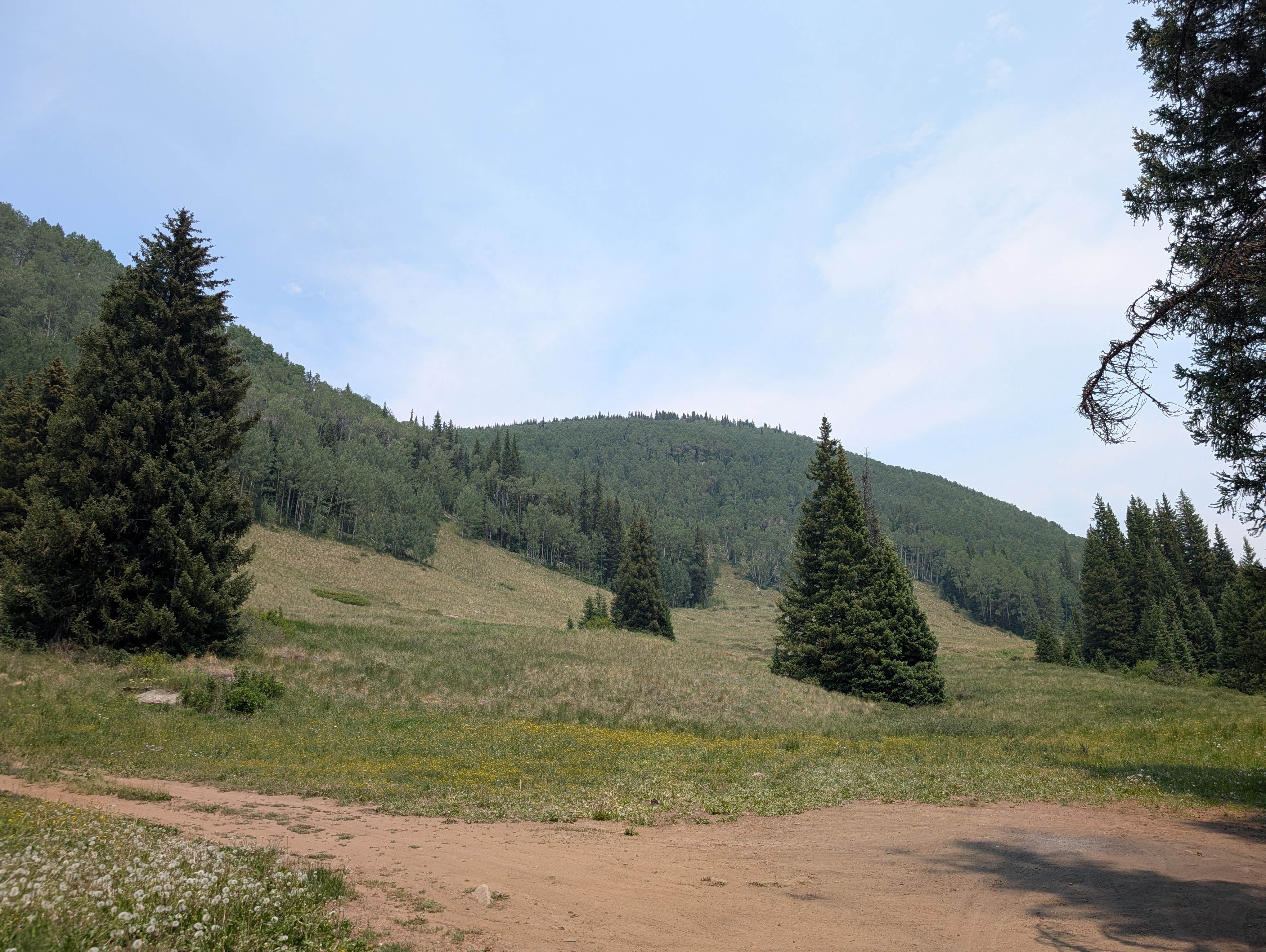 Camper-submitted photo at Shrine Pass Road Dispersed Camping near Minturn, CO