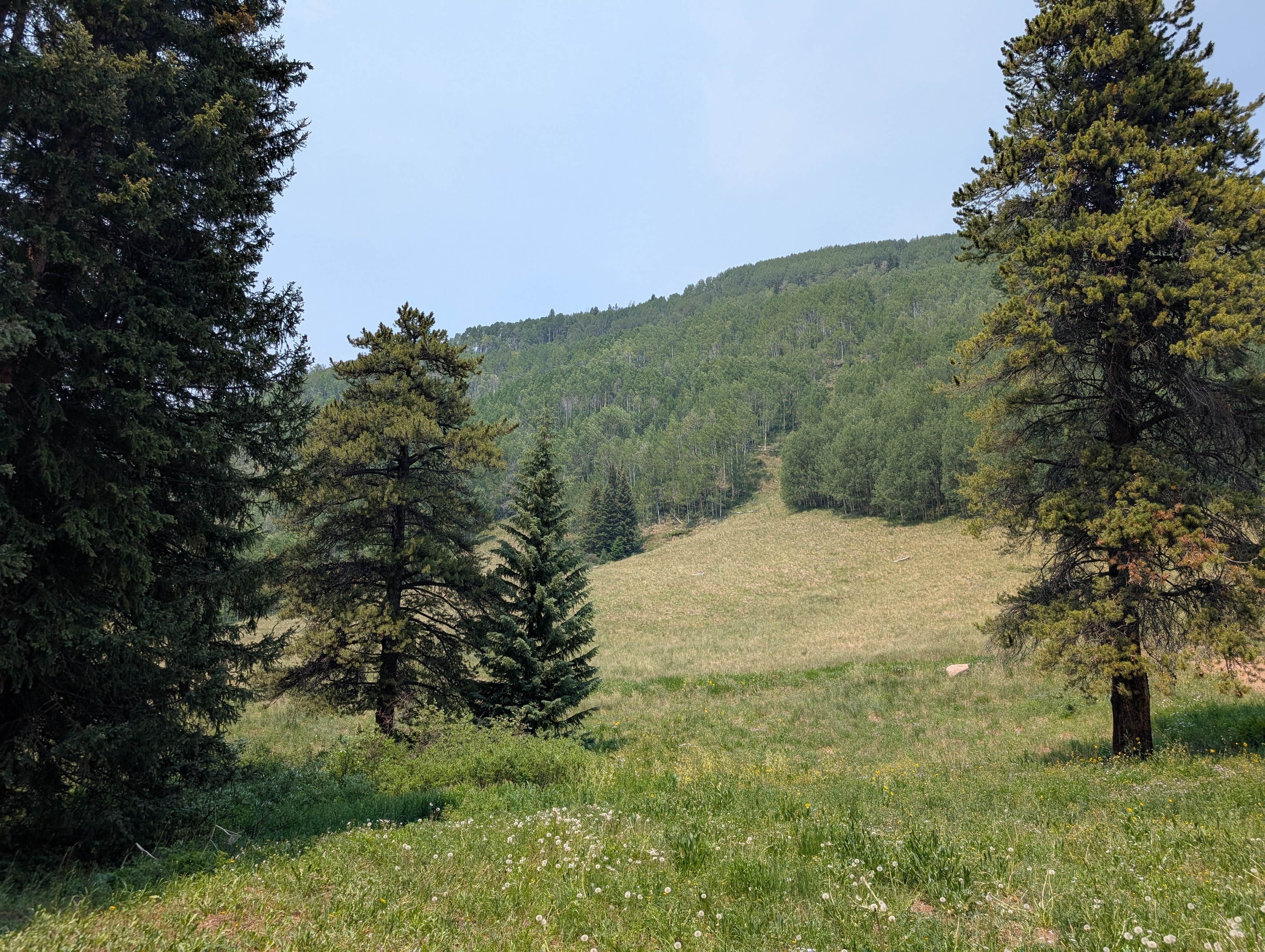 Camper-submitted photo at Shrine Pass Road Dispersed Camping near Minturn, CO