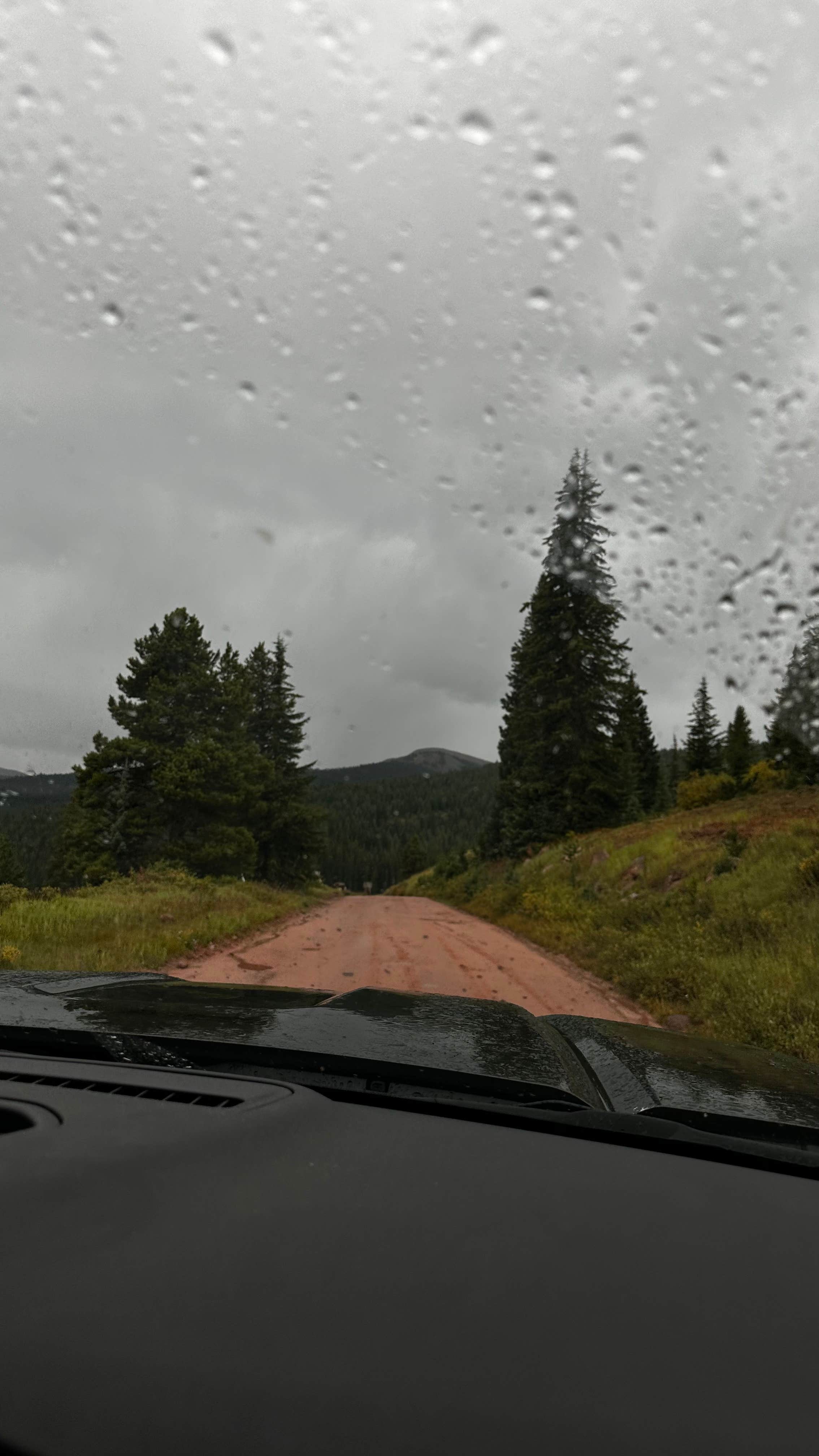 Camper-submitted photo at Shrine Pass Road Dispersed Camping near Minturn, CO