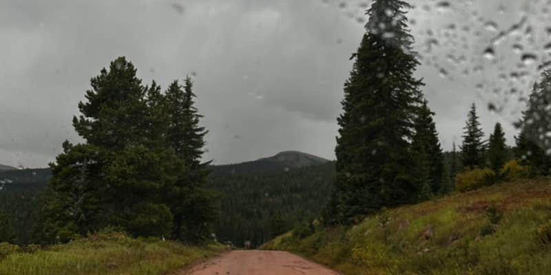 Camper submitted image from Shrine Pass Road Dispersed Camping