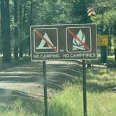 Review photo of Shultz Creek Trailhead Dispersed by Alisa P., October 6, 2025
