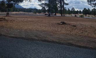Camping near Fort tuthill county campground: Shultz Creek Trailhead Dispersed, Flagstaff, Arizona