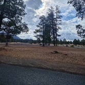 Review photo of Shultz Creek Trailhead Dispersed by Sine N., March 13, 2024