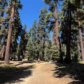 Review photo of Sierra National Forest Rancheria Campground by Samantha M., October 12, 2026
