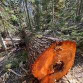 Review photo of Sierra National Forest Rancheria Campground by Art C., June 9, 2026