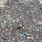 Review photo of Sierra Vista by Haley L., June 6, 2025