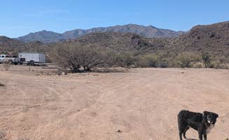 Greg L.'s photo of camping with pets at Signal Road BLM dispersed near Parker Dam, CA