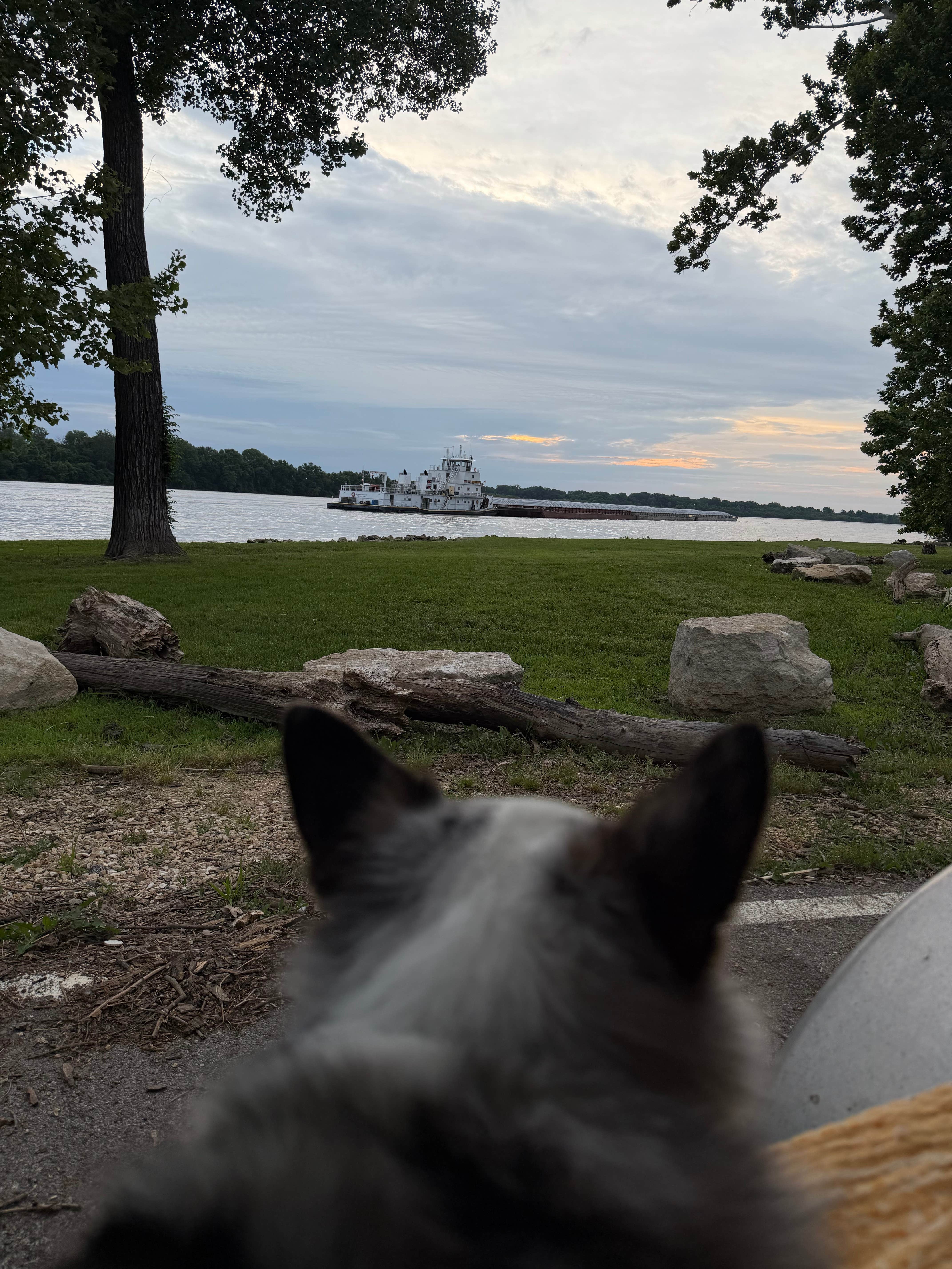Carly S.'s photo of camping with pets at Silo Access Area - O’Neil Creek near Perry, MO