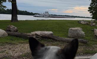 Carly S.'s photo of camping with pets at Silo Access Area - O’Neil Creek near Clarksville, MO