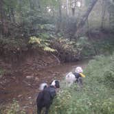 Review photo of Siloam Springs State Park Campground by Lindsey P., October 30, 2023