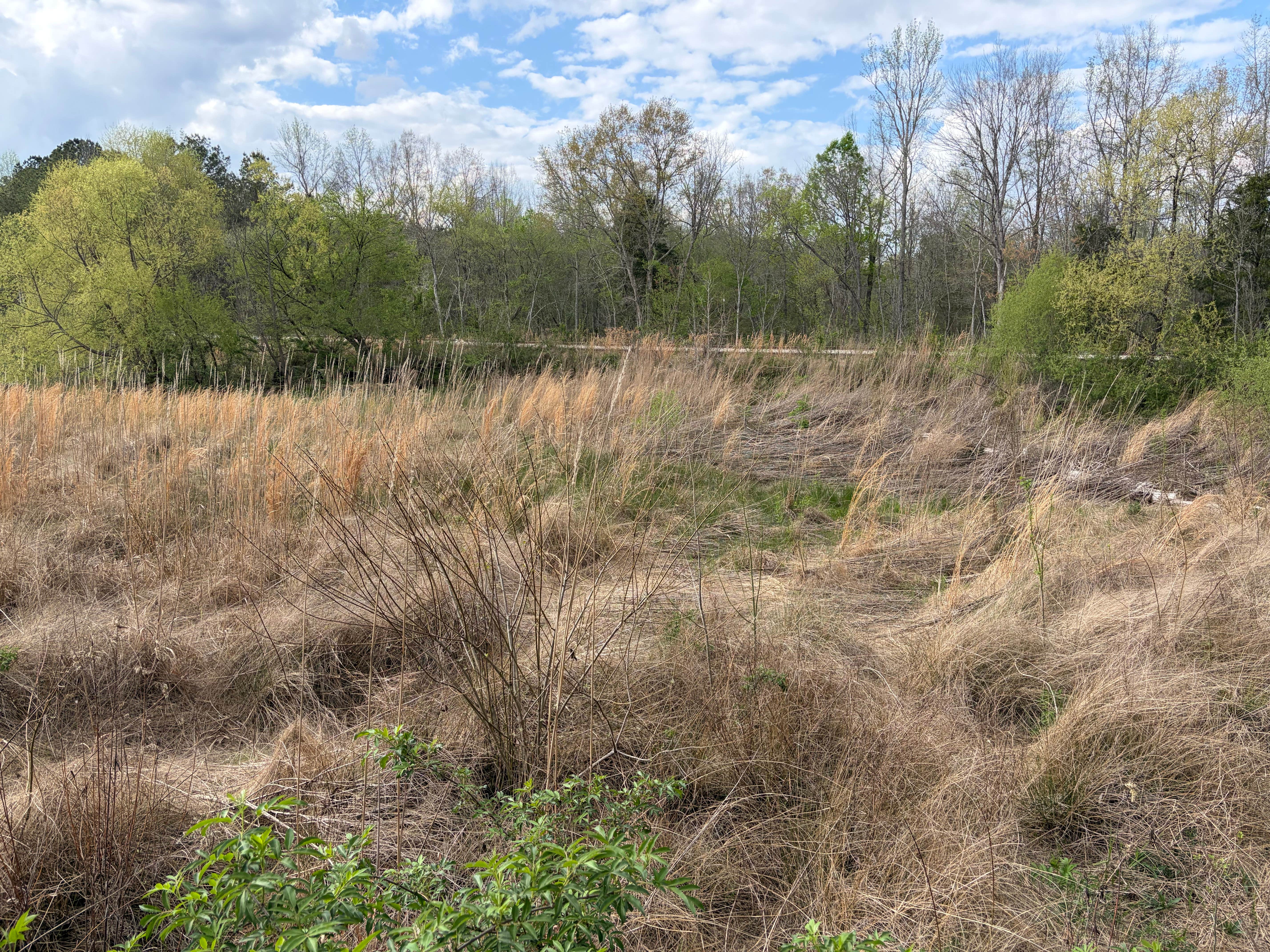 Camper-submitted photo at Silver Comet Trailhead Parking Lot near Rockmart, GA