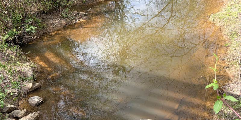 Camper submitted image from Silver Comet Trailhead Parking Lot