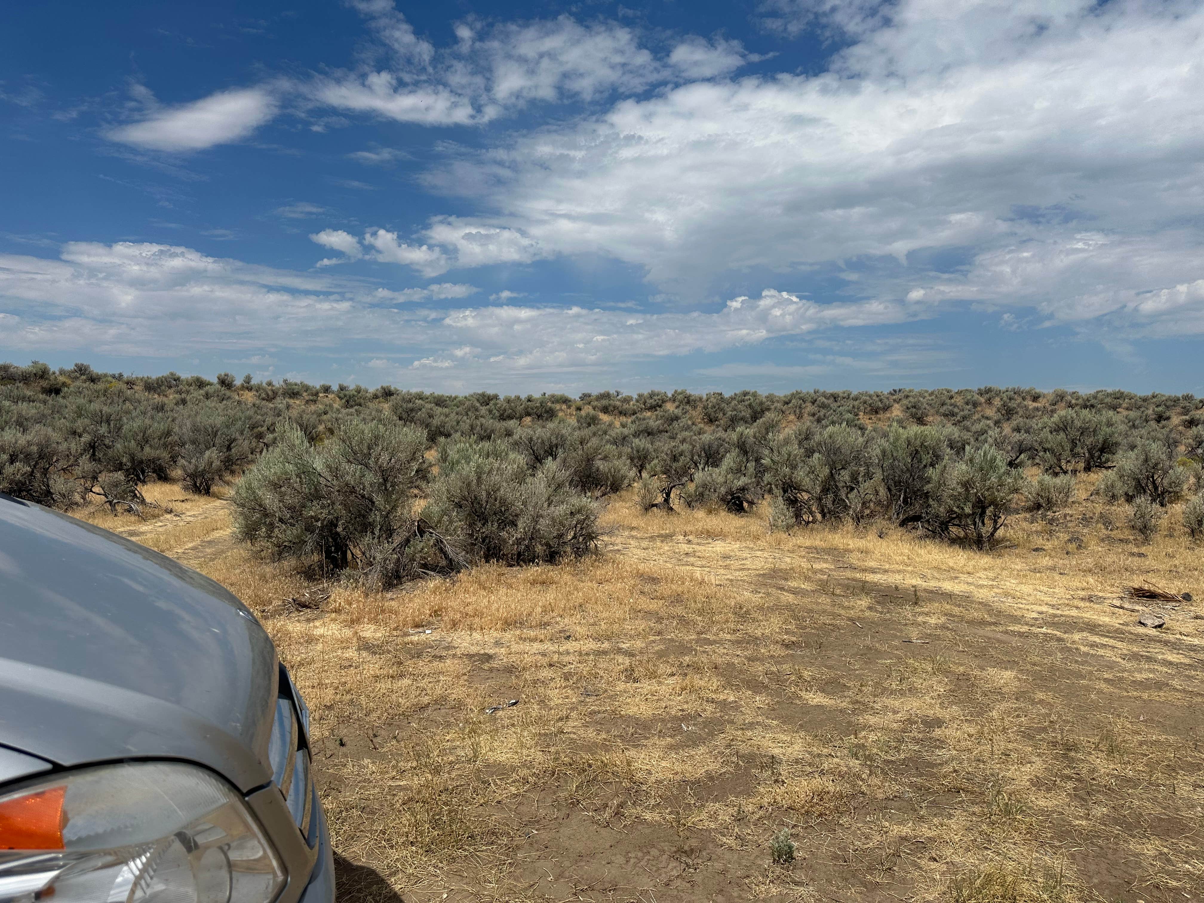 Camping near Magic Reservoir: Silver Creek Campground, Picabo, Idaho