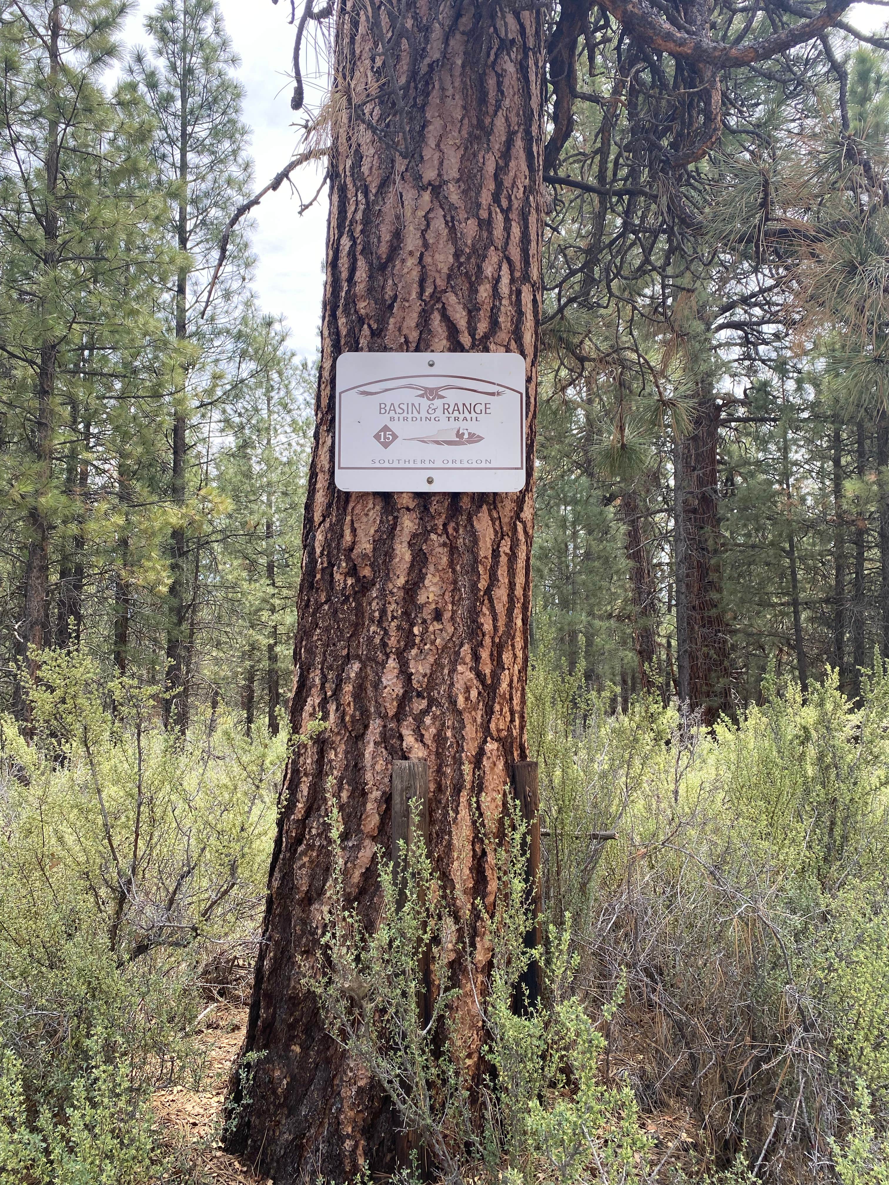 Camper-submitted photo at Silver Creek Marsh near Summer Lake, OR