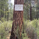 Review photo of Silver Creek Marsh by Leland , June 16, 2024