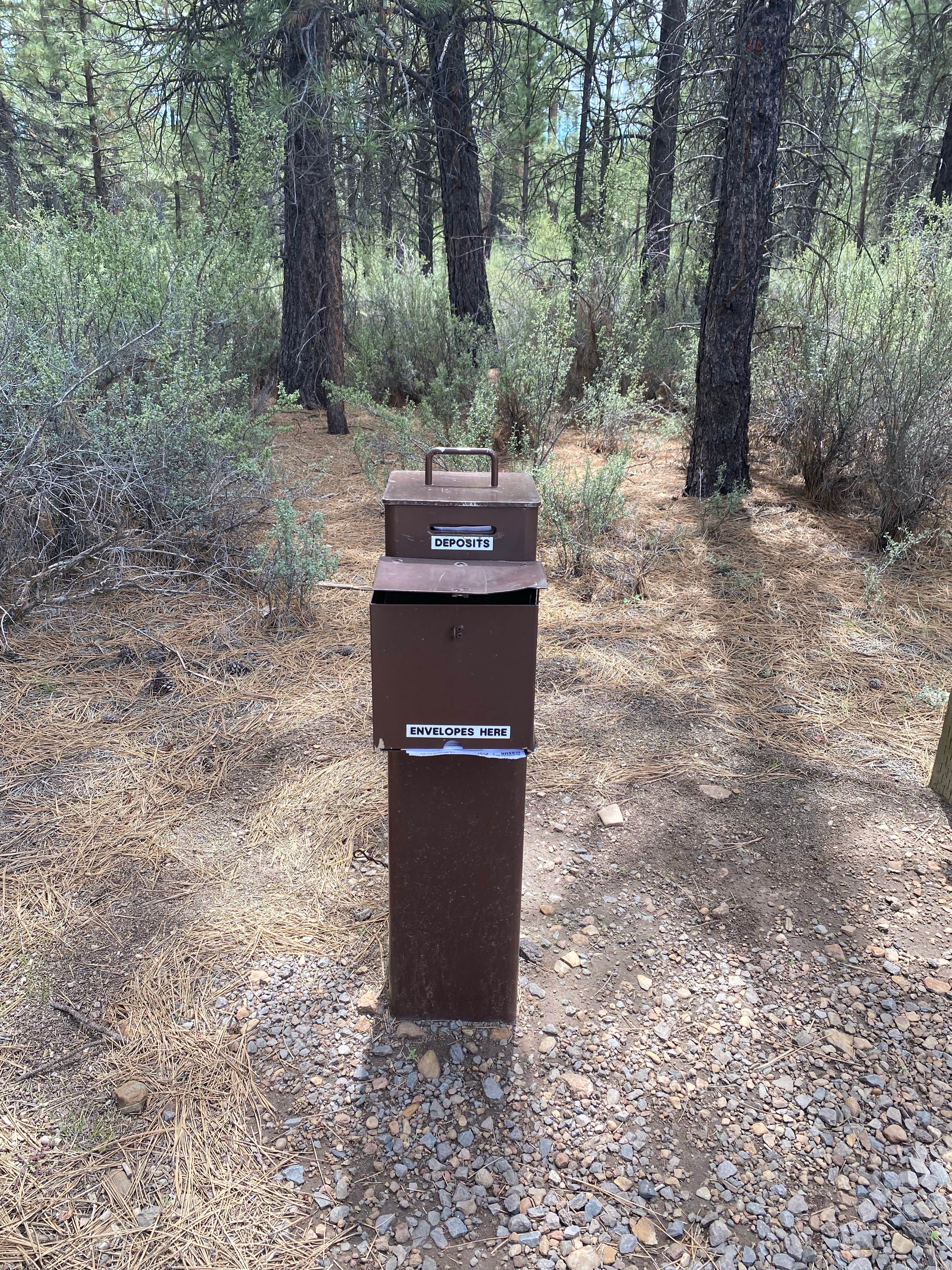 Camper-submitted photo at Silver Creek Marsh near Summer Lake, OR