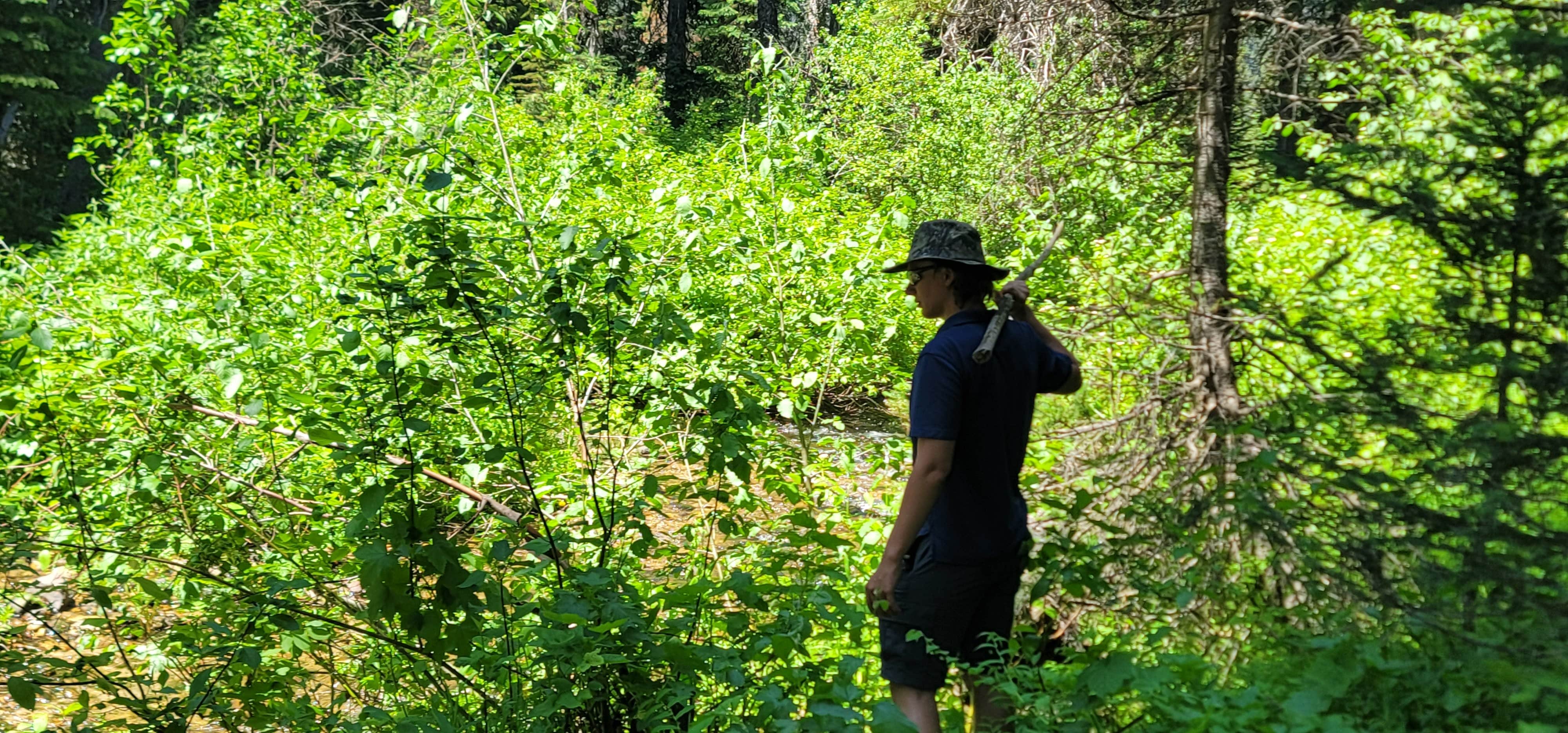 Camper-submitted photo at Silver Creek Plunge near Cascade, ID