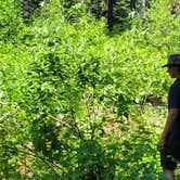 Review photo of Silver Creek Plunge by Abels C., June 24, 2025